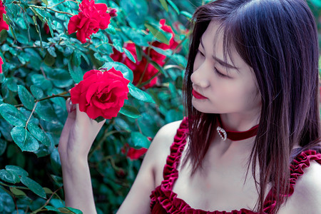 港澳大学生逐浪海南自贸港：一种别样的热爱悄然生长